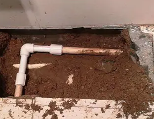 周口测漏水哪家好